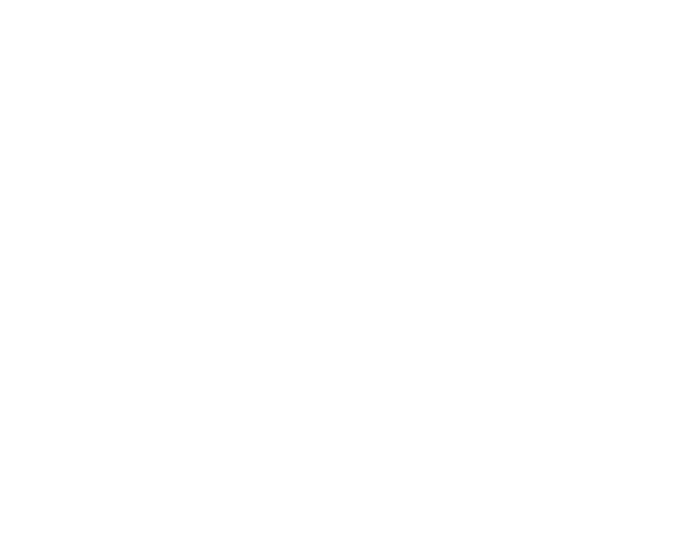 TdKB_LogoWeiss