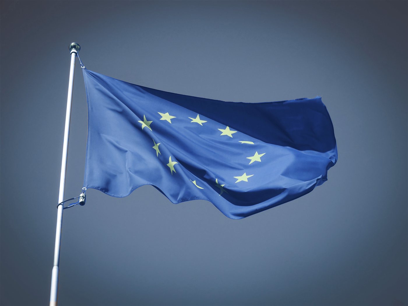 Discovery Erasmus EU +
